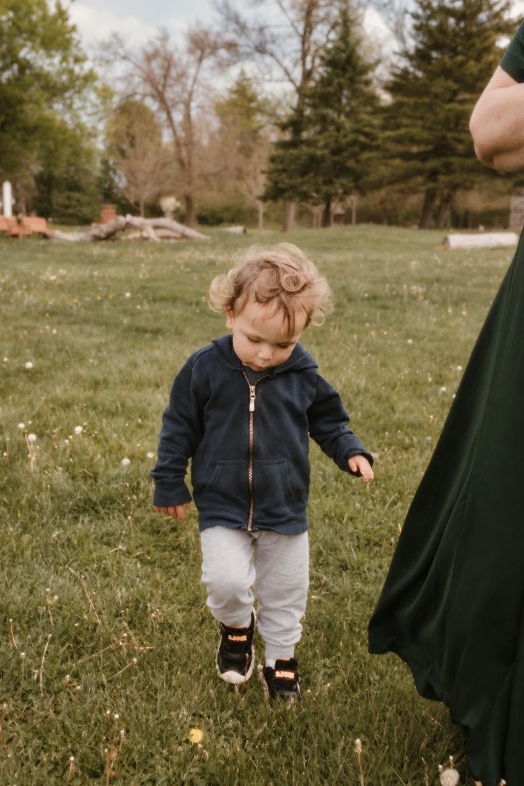 Toddler walking through a field