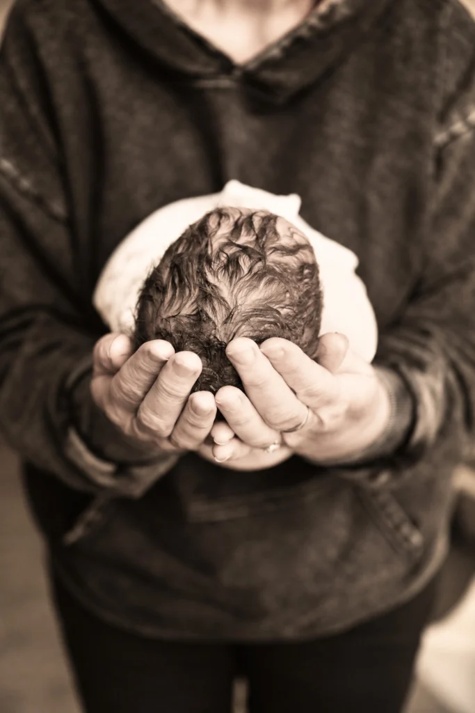 Newborn baby held gently in a parent’s hands
