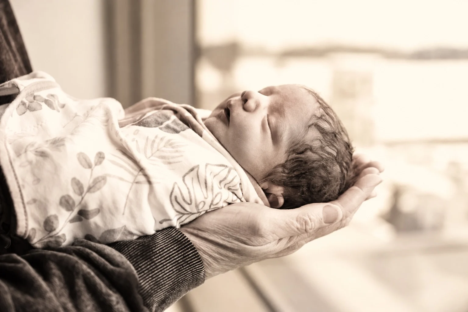 Swaddled newborn resting in a hand